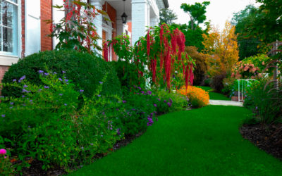 Trustee’s Garden Honored in Smithsonian Archive