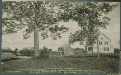 UConn Fails to Uphold Preservation Agreement