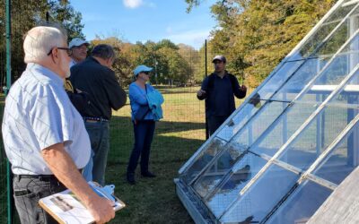 Technical Assistance Consultancies (TACs)